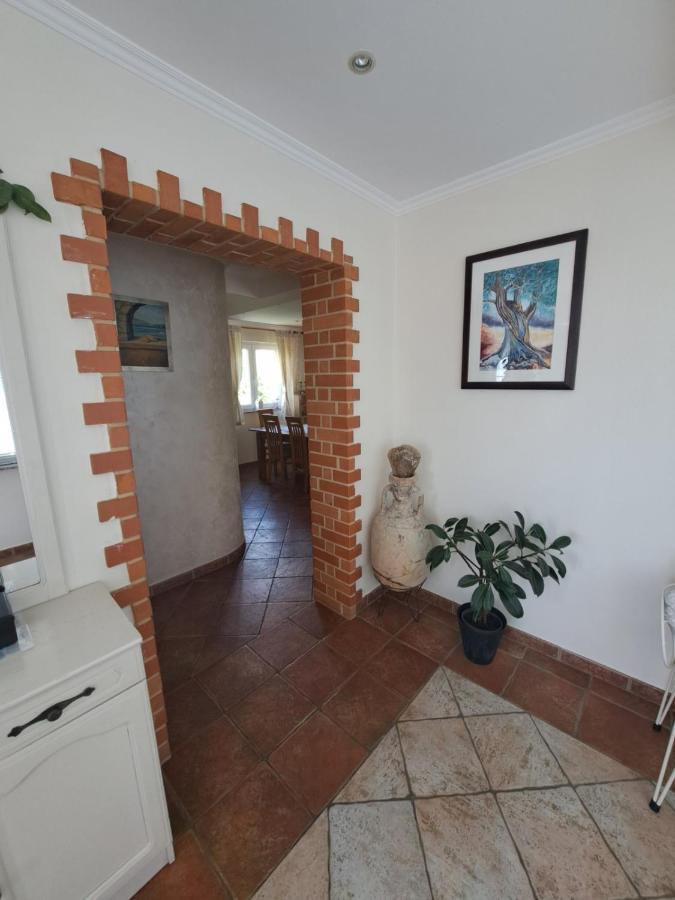 Apartmani Dijana Palit エクステリア 写真