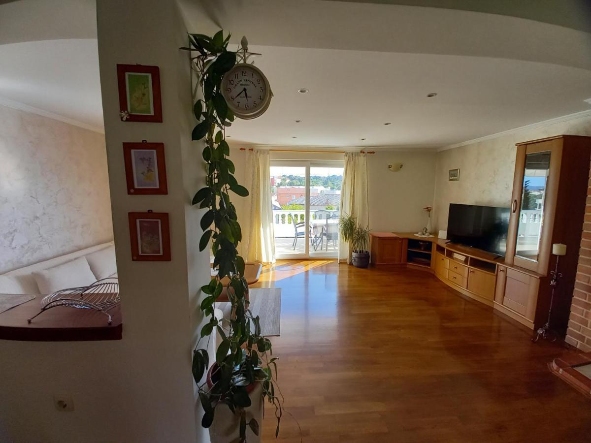 Apartmani Dijana Palit エクステリア 写真